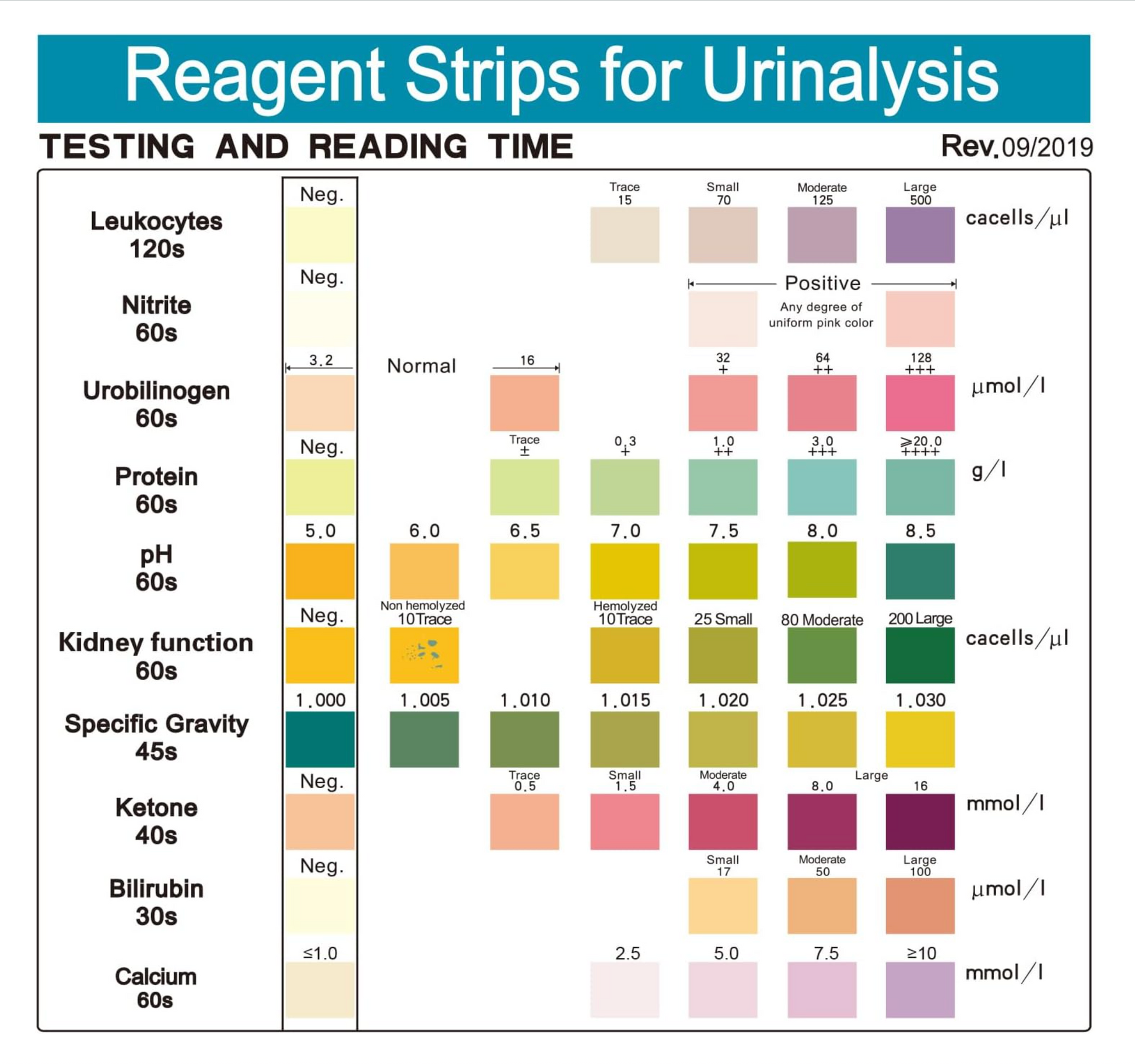 Reagent Strips For Urnialysis | Palinoia Diagnostics